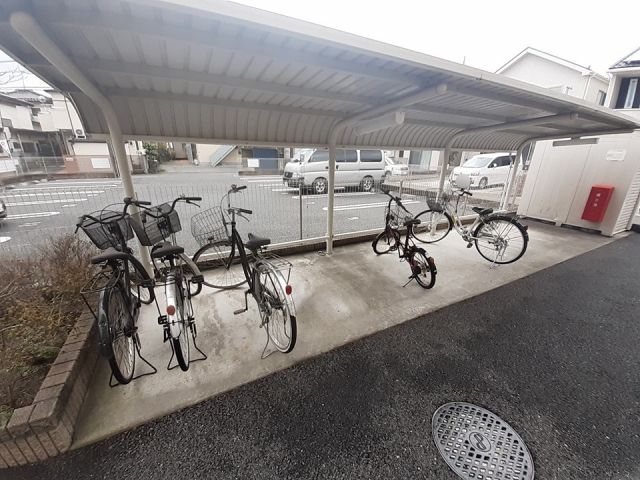 ティエルノ_その他_4