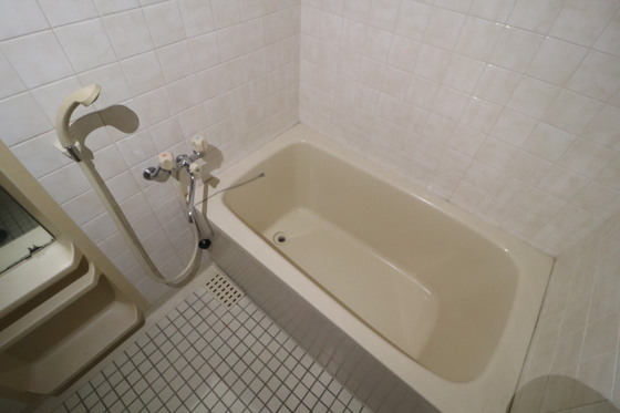 バス・シャワールーム　※別部屋の写真です