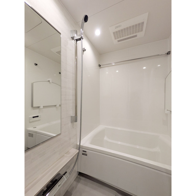 バス・シャワールーム　落ち着いた空間のお風呂です