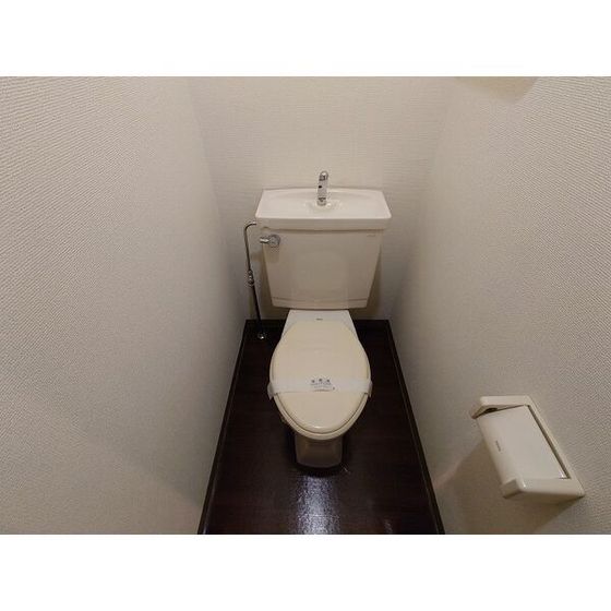 トイレ　※他号室の写真です