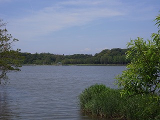 公園　佐鳴湖公園（公園）まで1408m