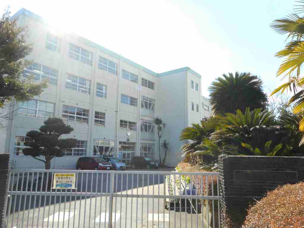 小学校　静岡市立清水高部小学校（小学校）まで234m