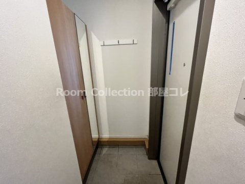 玄関　※同物件他部屋写真 反転の場合有