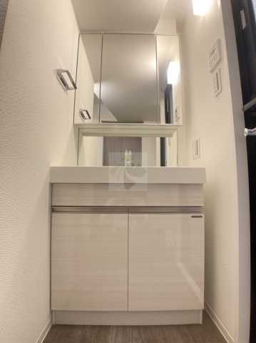 洗面設備　ミルーナヒルズＤ駒込