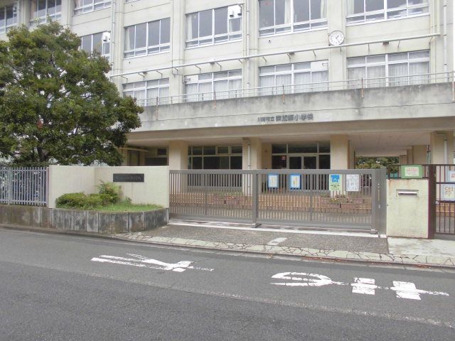 小学校　川崎市立南加瀬小学校（小学校）まで1075m