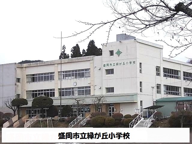小学校　盛岡市立緑が丘小学校（小学校）まで900m
