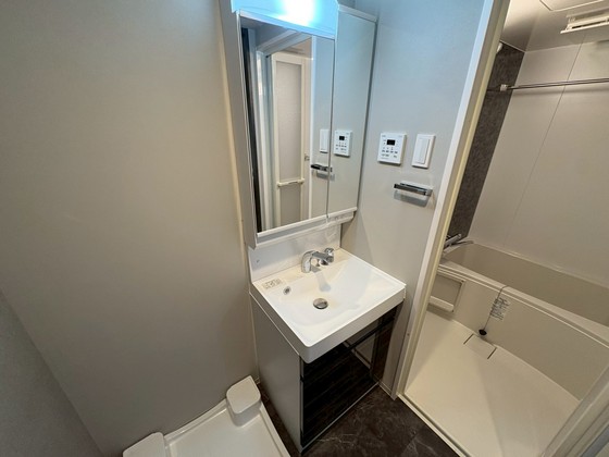洗面設備　※別部屋の写真です