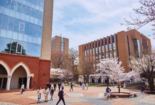 大学・短大　私立国際仏教学大学院大学（大学・短大）まで823m