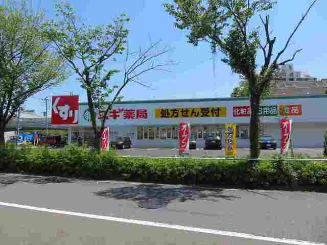 その他　スギ薬局まで1100m