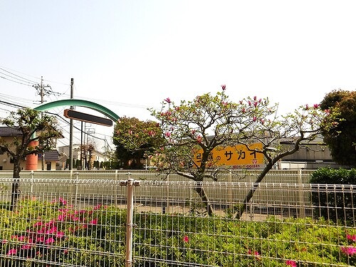 眺望　テラスからの眺望