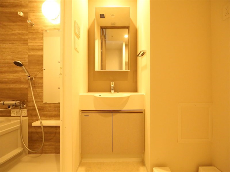 洗面設備　脱衣所　独立洗面台（シャンプードレッサー付）収納スペース有