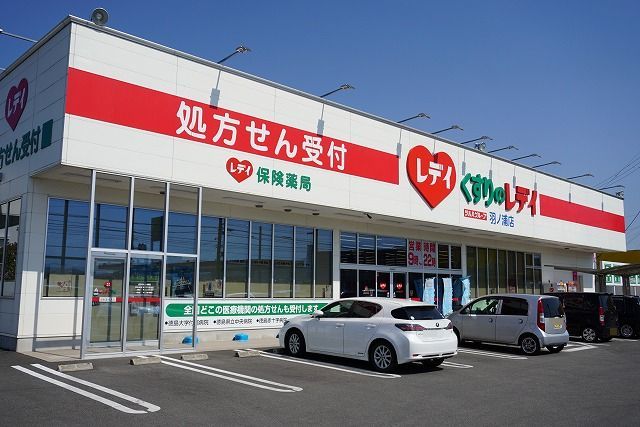 ドラックストア　くすりのレデイ 羽ノ浦店（ドラッグストア）まで222m