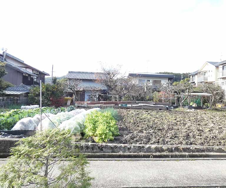 その他　３ＤＫで住み心地よく部屋もきれいです