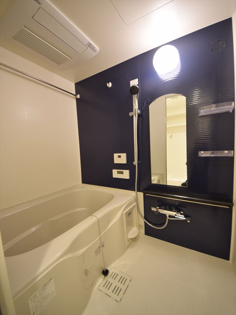 バス・シャワールーム　アドバンス大阪ソルテ　浴室