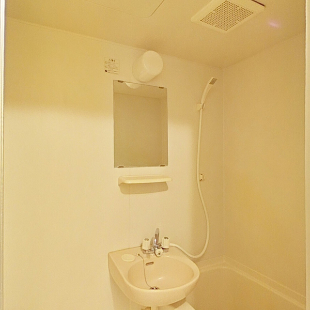 バス・シャワールーム　浴室には洗面ボウルがあります