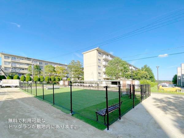 その他　ドッグラン（その他）まで50m