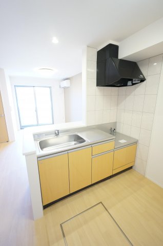 キッチン　※同物件・反転タイプの写真です