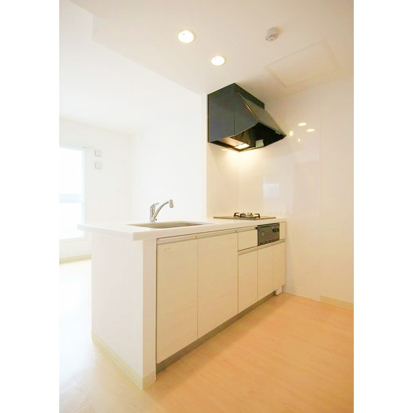 キッチン　人気で使用しやすいシステムキッチンです♪