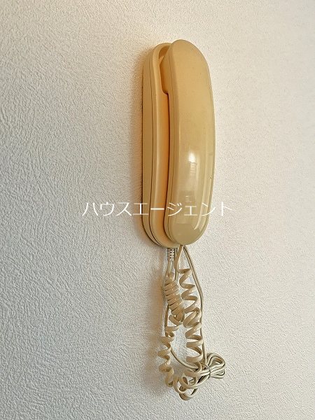セキュリティ　インターホンです