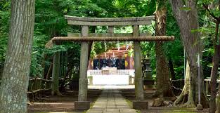 その他　喜多見 氷川神社（その他）まで270m