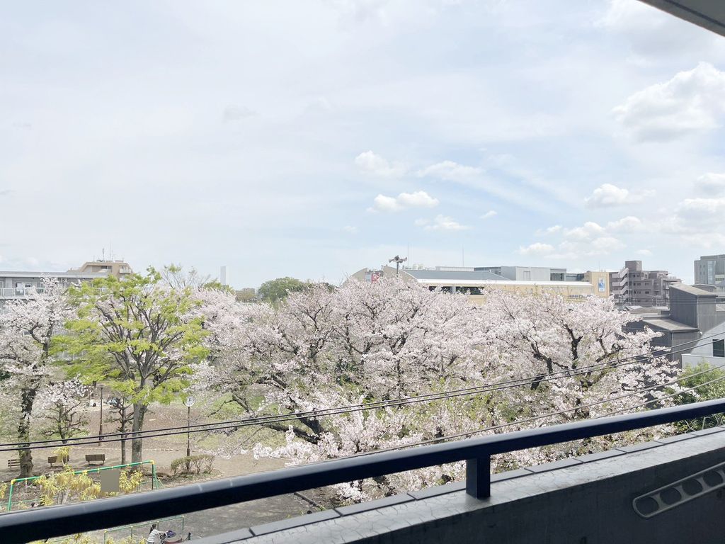眺望　眺望