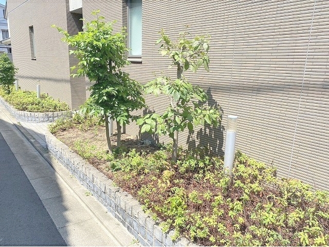 その他　植栽
