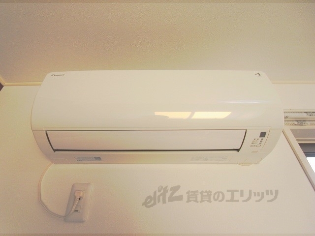 アンテノールのその他写真