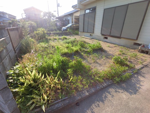 庭