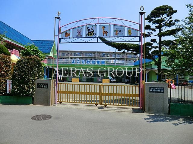 幼稚園・保育園　横川幼稚園（幼稚園・保育園）まで693m