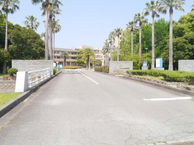大学・短大　国立鳴門教育大学（大学・短大）まで1443m