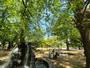 公園　板橋区立平和公園（公園）まで350m