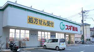 ドラックストア　スギ薬局 南六郷店（ドラッグストア）まで3876m