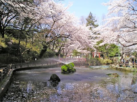 公園　与野公園（公園）まで682m