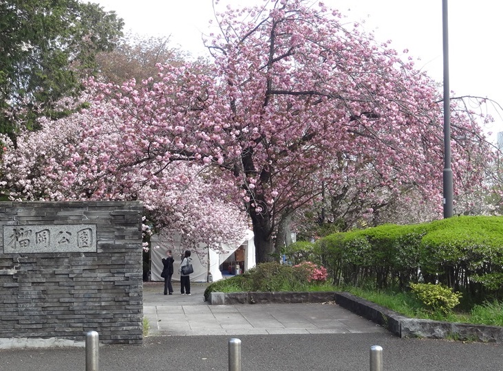 公園　榴岡公園（公園）まで180m