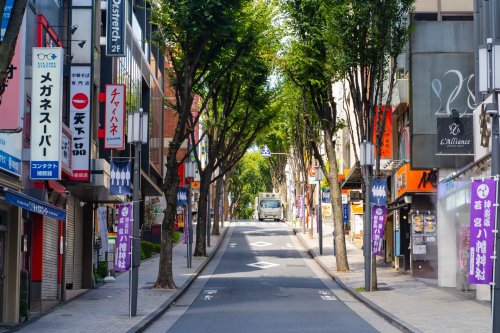その他　神楽坂通り商店街（その他）まで1132m
