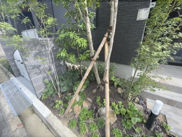 その他共有部分　植栽