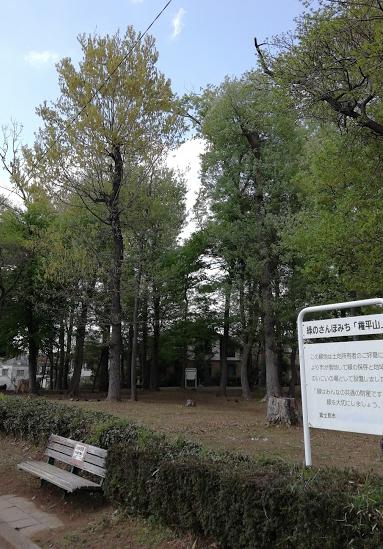 公園　権平山（公園）まで182m