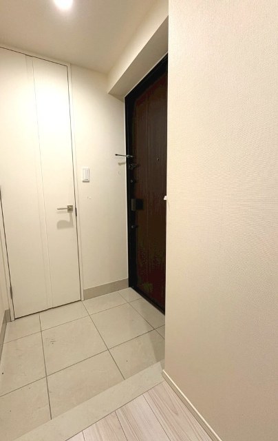 玄関　同仕様タイプ
