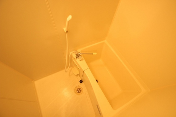 バス・シャワールーム　※別部屋の写真です