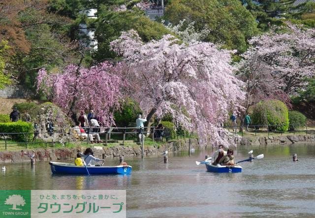公園　千葉公園（公園）まで797m