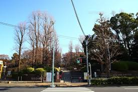 その他　代々木公園 参宮橋門（その他）まで223m