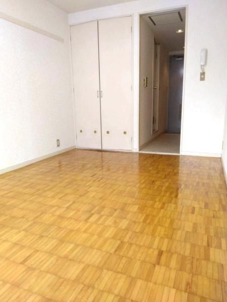 ルミヨールIの居間写真