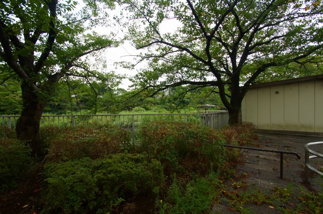 公園　岸根公園（公園）まで1093m