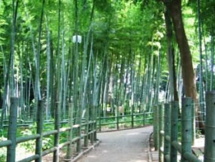 公園　すずめお宿緑地公園（公園）まで699m