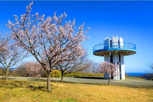 公園　田浦梅の里（公園）まで1453m
