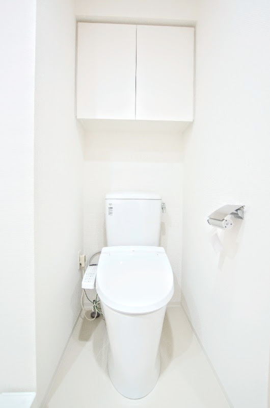 ブライズ蒲田EASTのトイレ写真