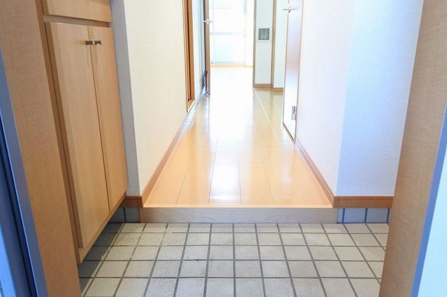 埼玉高速鉄道 南鳩ケ谷駅 徒歩2分 6階建 築17年の玄関写真
