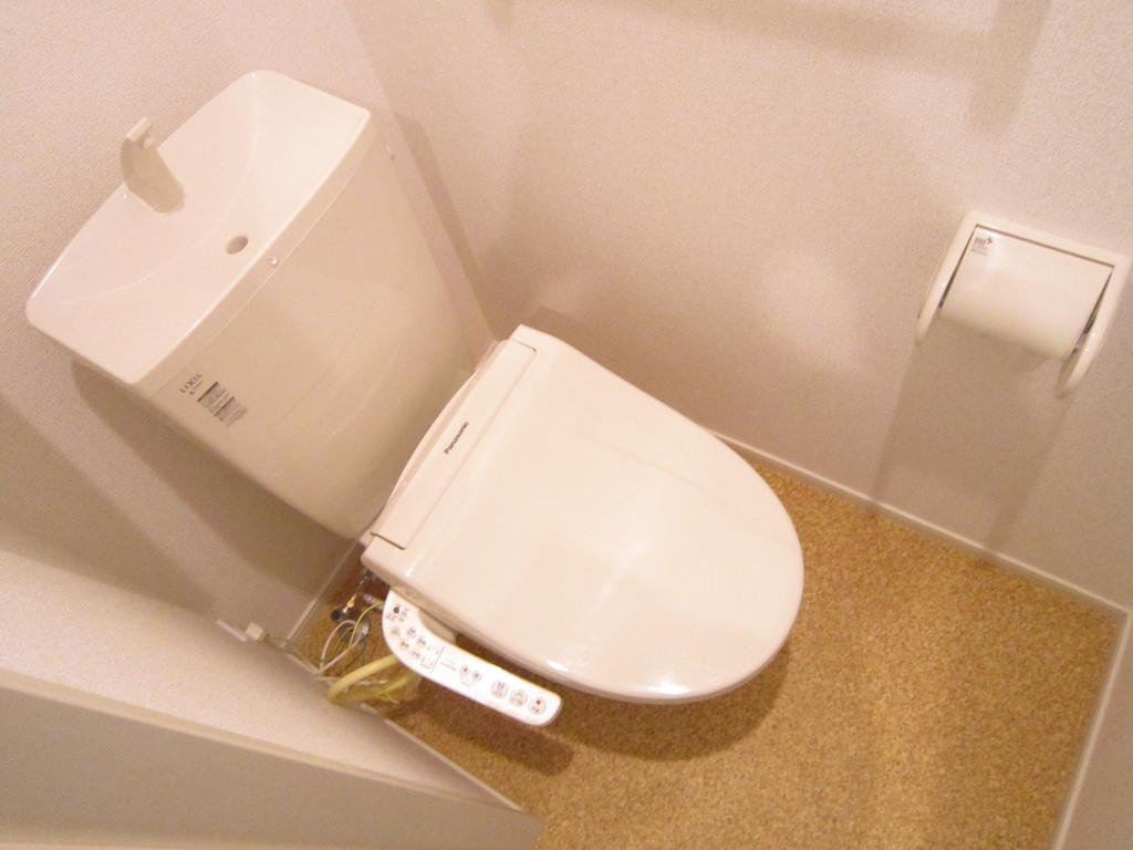 ＪＲ常磐線 勝田駅 徒歩46分 2階建 築11年のトイレ写真