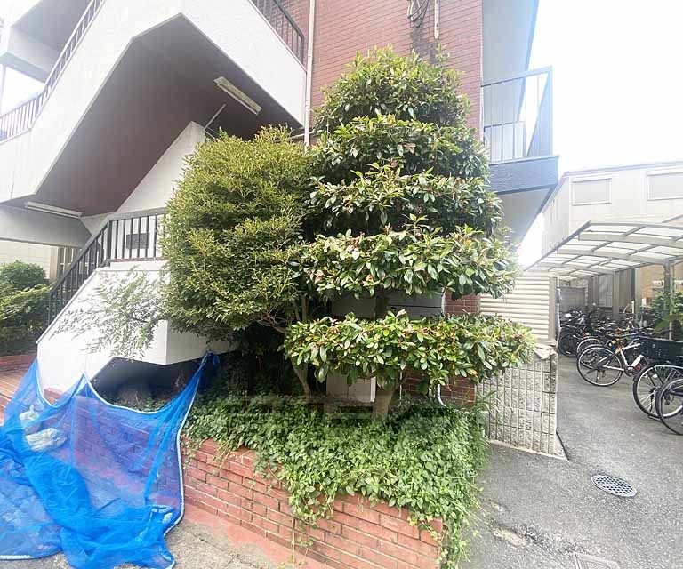 庭