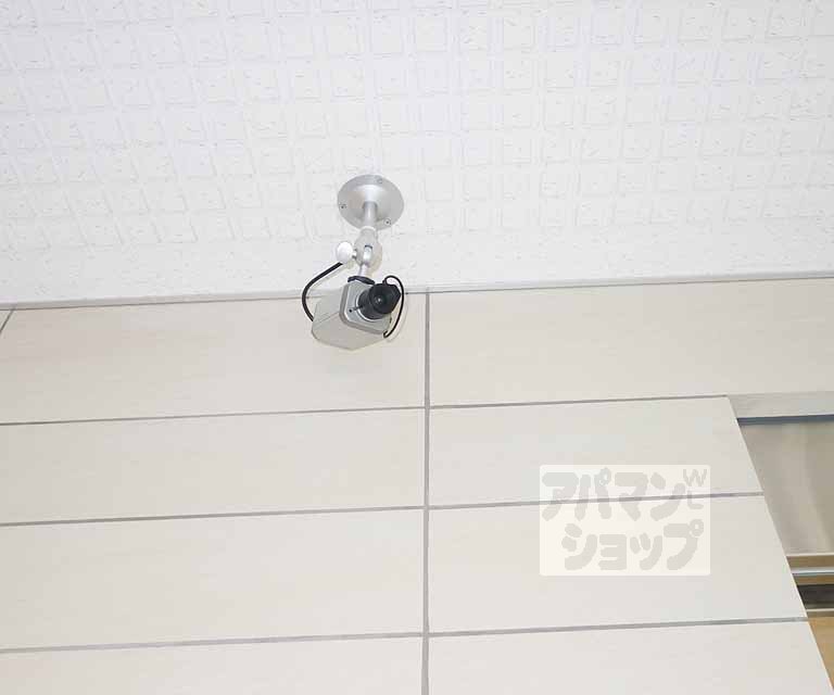 ステラ・ランドのその他写真